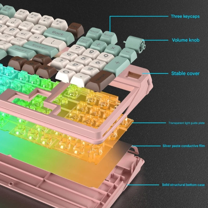 RGBs Backlits Mechanical Feel Cord Keyboards 97Key Compact Design Dedicated Volumes Knob ABS Construction For PC 896C